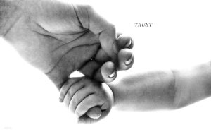 trust-factor